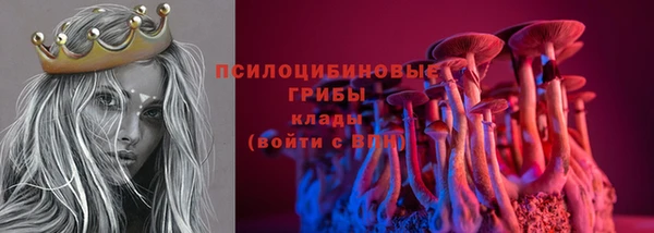 гидропоника Армянск