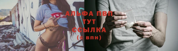 стаф Аркадак