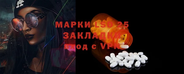 стаф Аркадак
