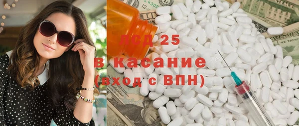 стаф Аркадак