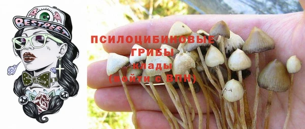 2c-b Арсеньев