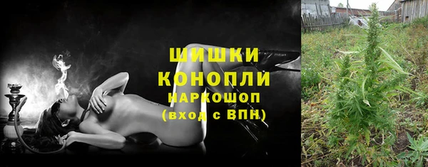 стаф Аркадак