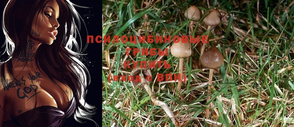 прущая мука Покровск